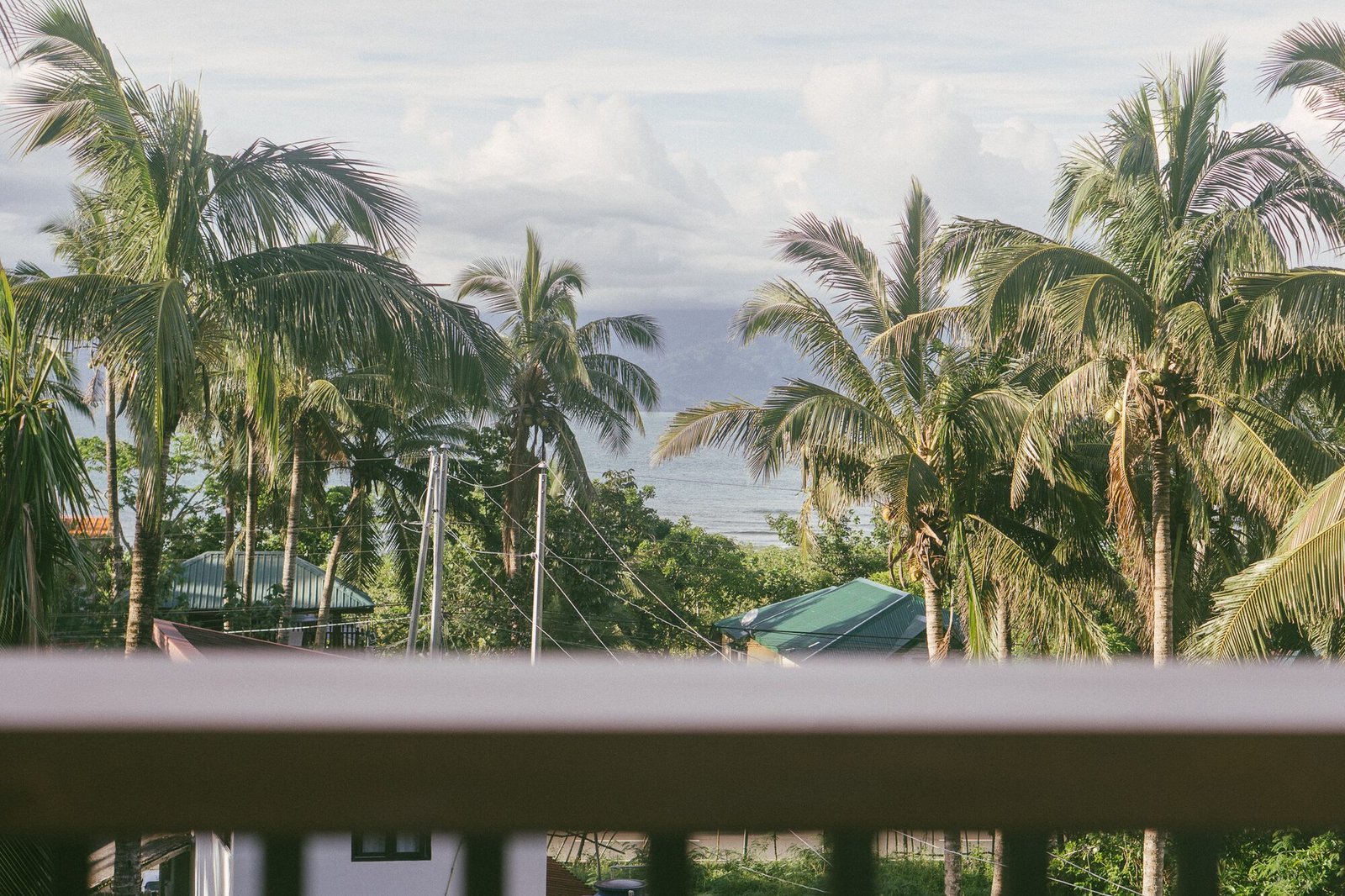 Palms and ocean seen from Palm Villa's terrace